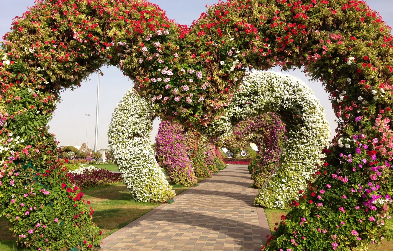 Photo wallpaper design, garden, track, Singapore, arch, alley, floral, geranium