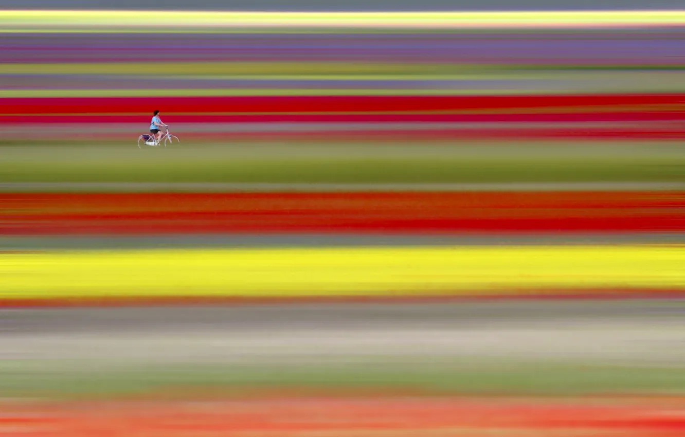 Photo wallpaper field, bike, minimalism