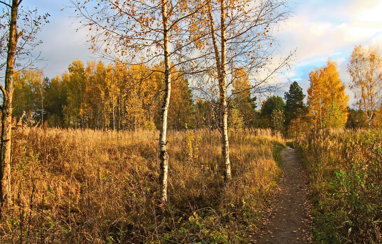 Photo wallpaper autumn, landscape, nature