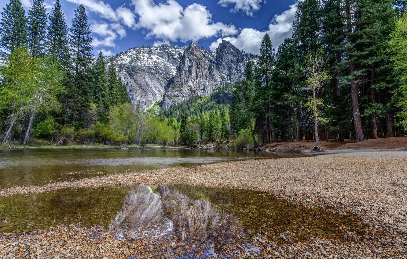 Photo wallpaper forest, leaves, water, mountains, nature, river