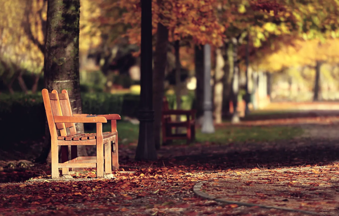 Photo wallpaper autumn, the city, street, bench
