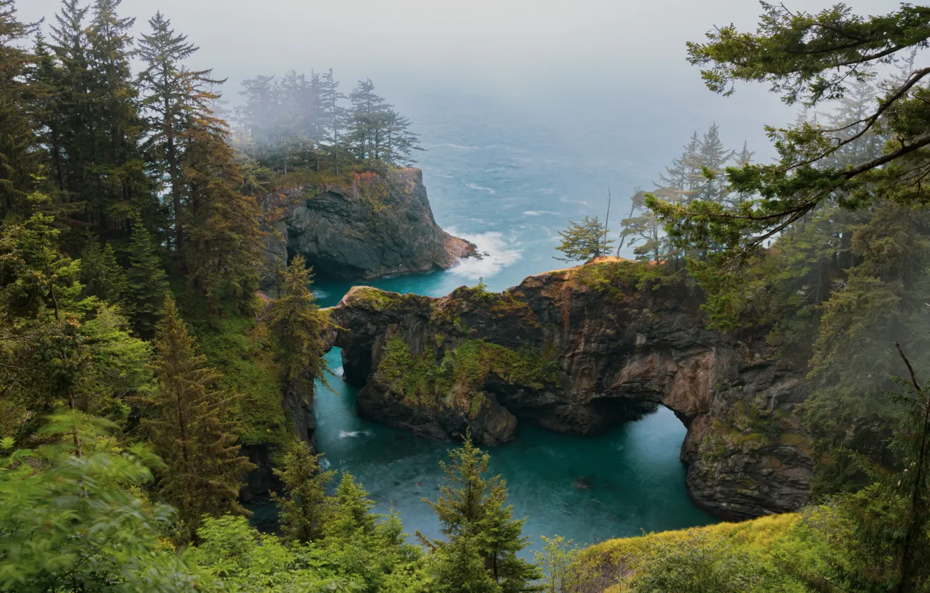 Photo wallpaper trees, landscape, nature, fog, the ocean, rocks, Oregon, USA