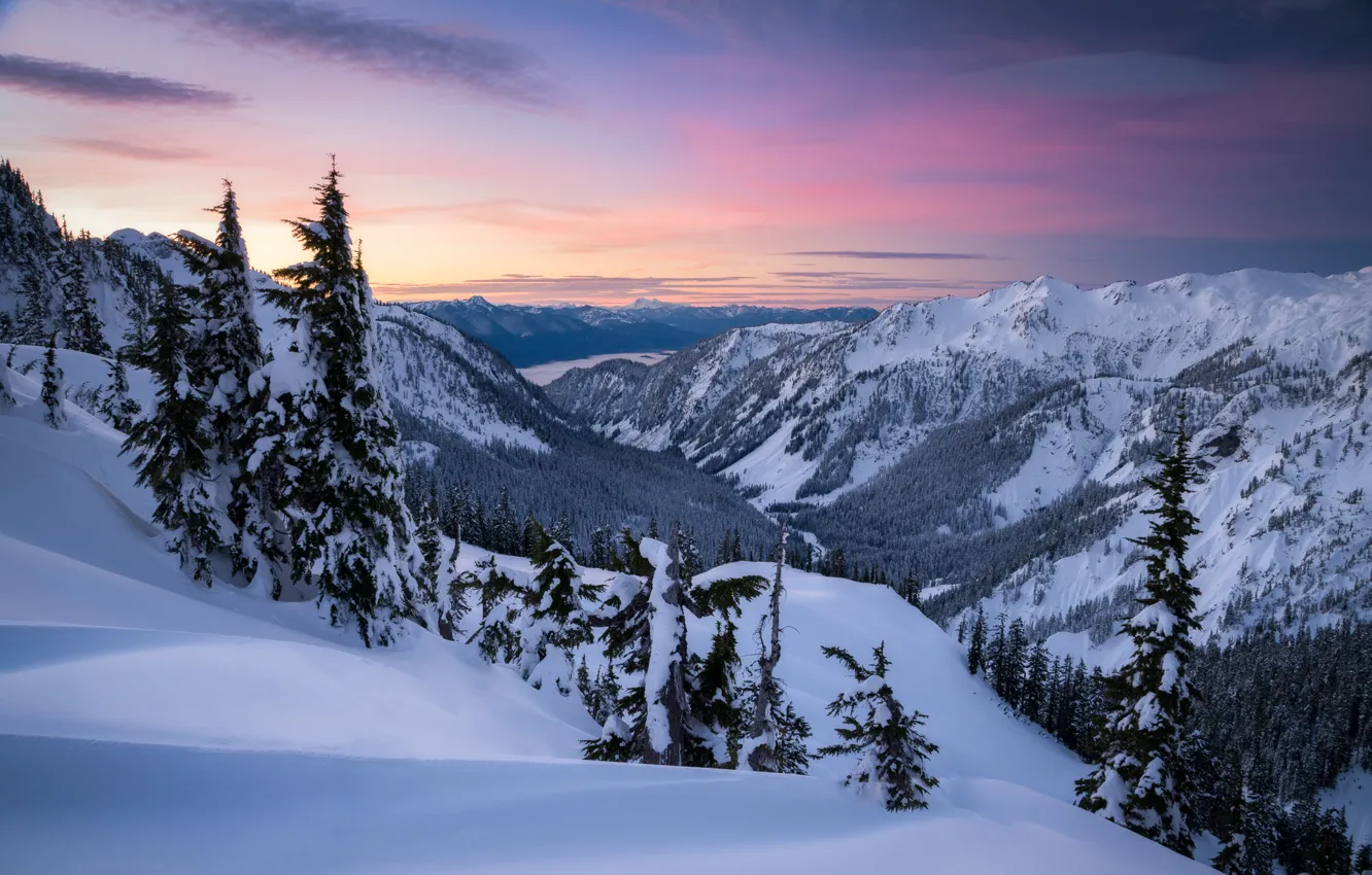 Photo wallpaper winter, snow, trees, mountains, dawn, valley, the snow, Washington