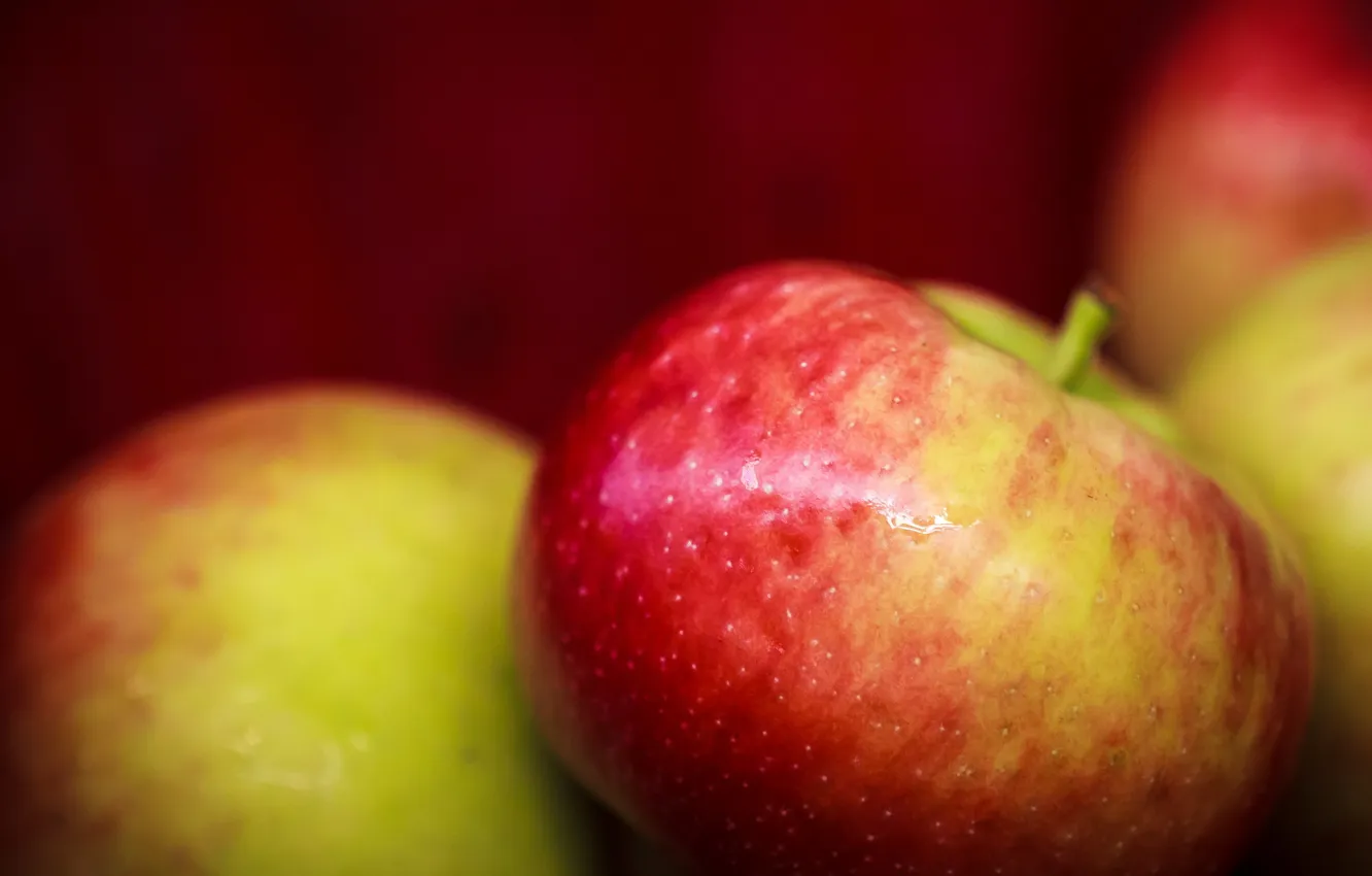 Photo wallpaper macro, food, apples