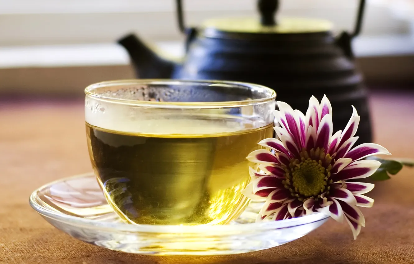 Photo wallpaper flower, green, tea, kettle, Cup, saucer