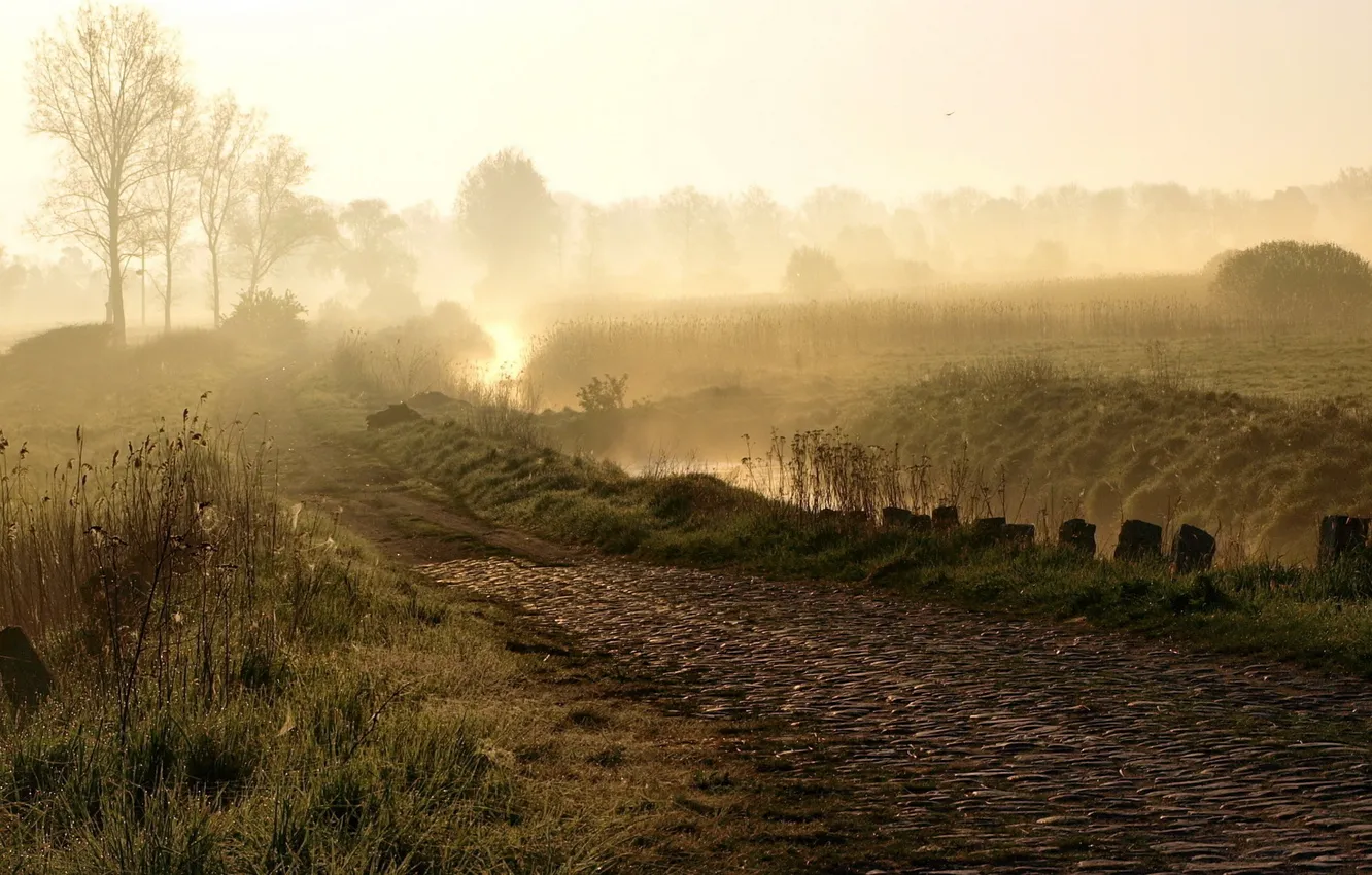 Photo wallpaper road, fog, morning