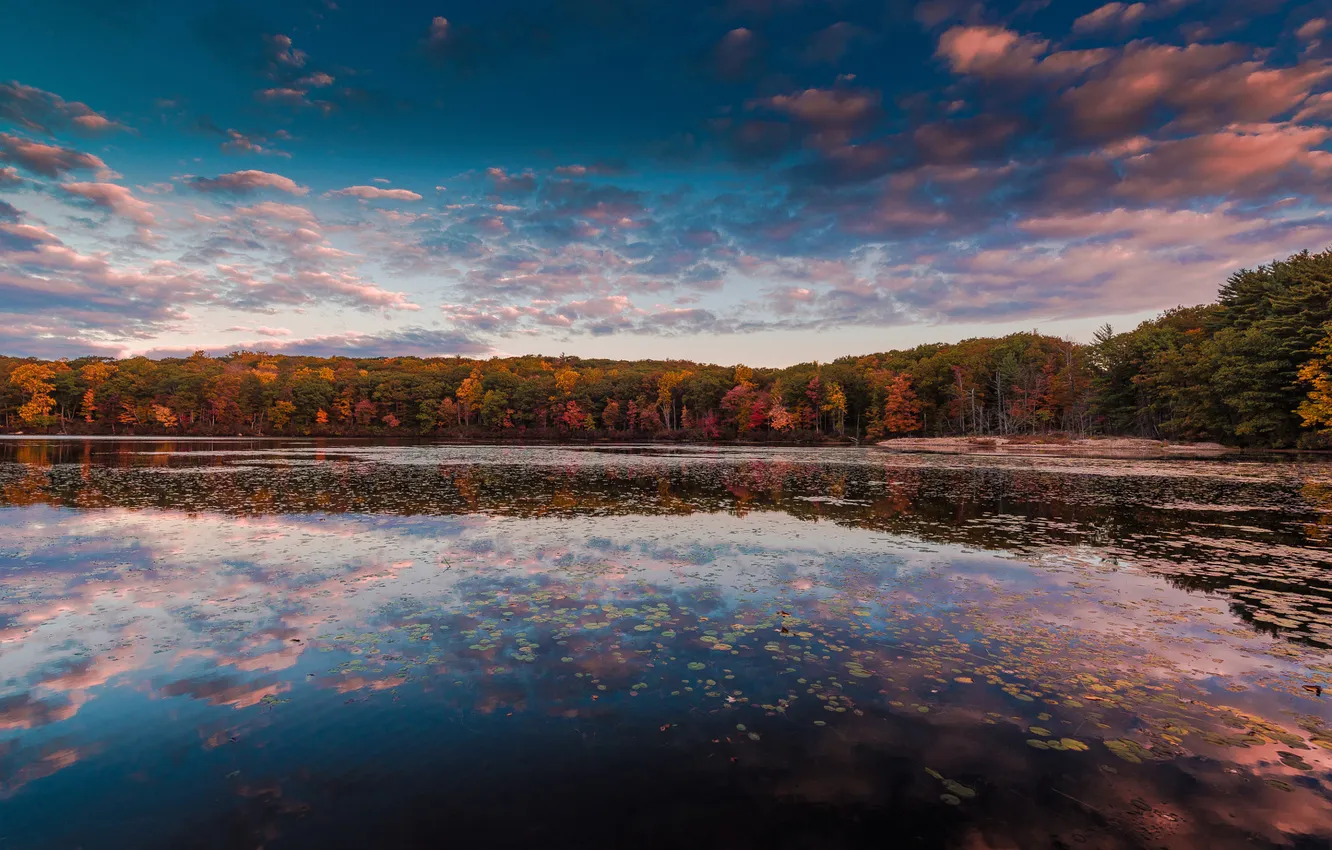 Photo wallpaper autumn, the sky, water, clouds, reflection, trees, New York, Harriman State Park