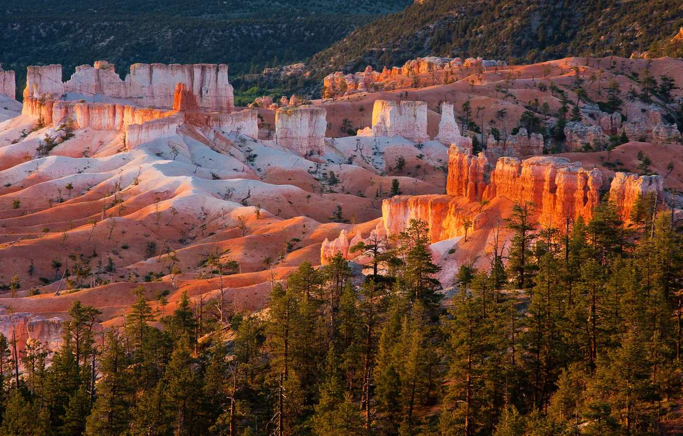 Photo wallpaper trees, sunset, mountains, rocks, Utah, USA, Bryce Canyon National Park