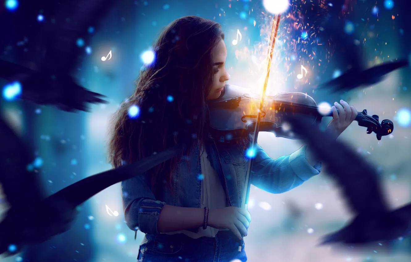 Photo wallpaper lights, look, girl, notes, violin, bird