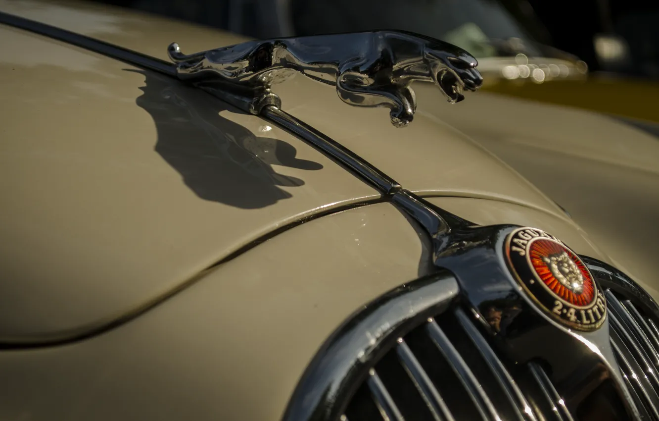 Photo wallpaper Jaguar, the hood, emblem, car, beige