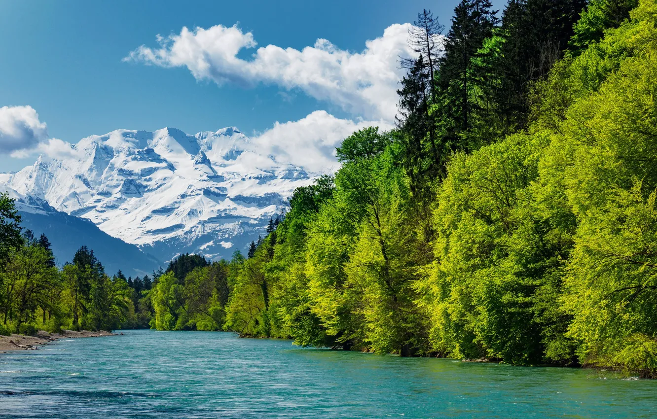 Photo wallpaper greens, forest, the sky, the sun, clouds, trees, mountains, river