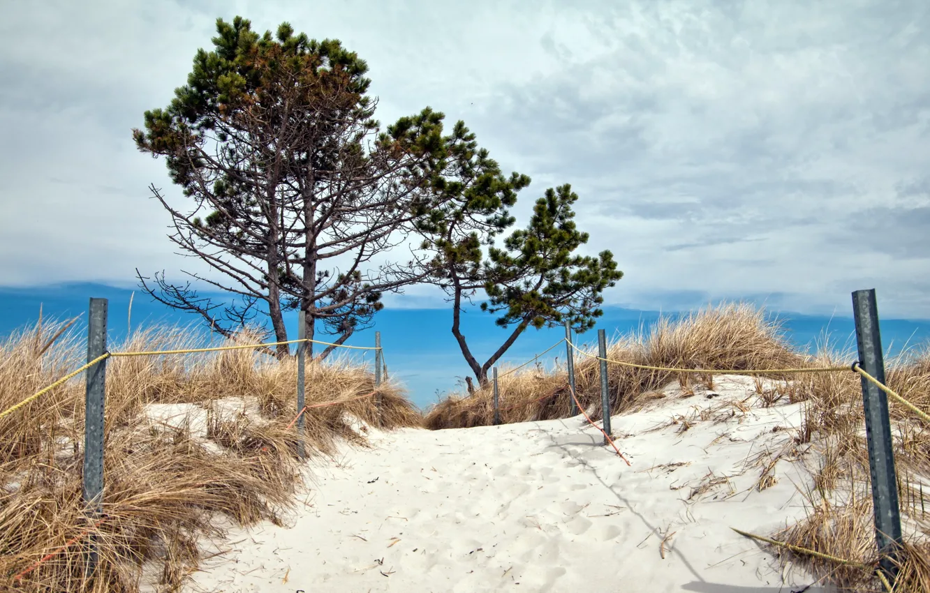 Photo wallpaper sea, beach, summer, landscape, dunes