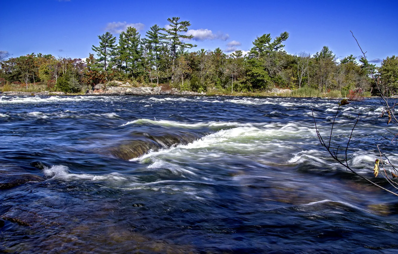 Photo wallpaper the sky, trees, river, stones, stream