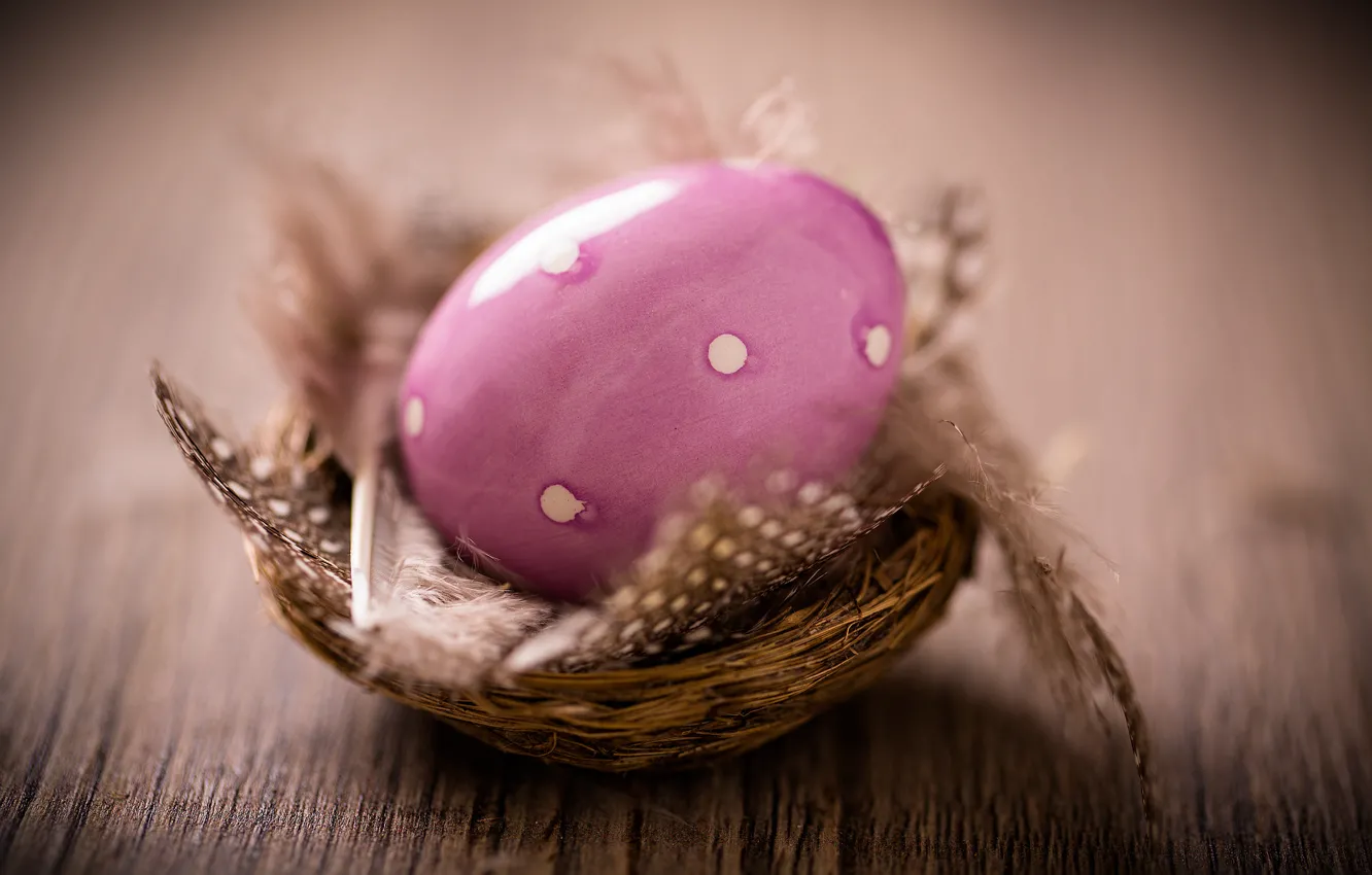 Photo wallpaper eggs, Easter, Easter eggs, Easter, happy easter