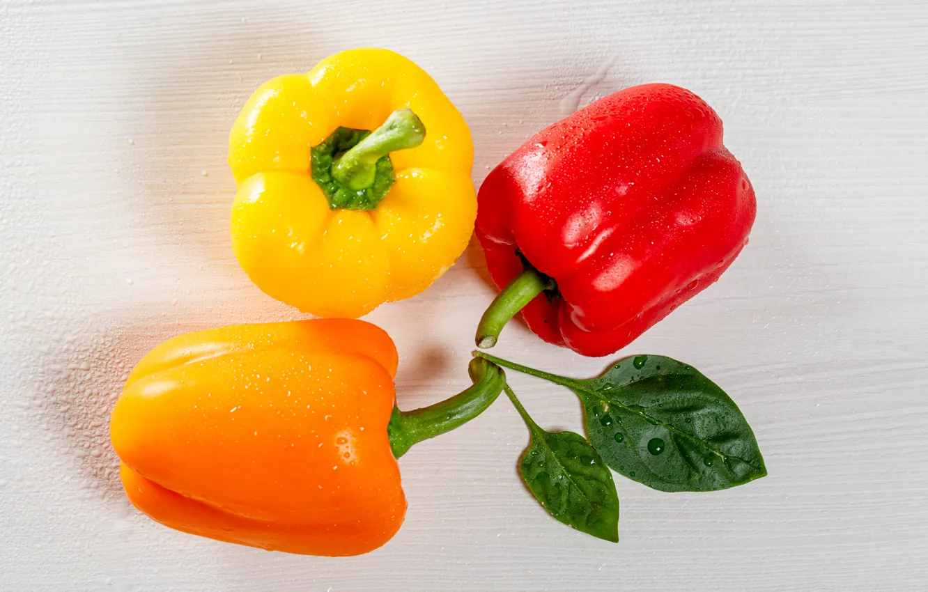 Photo wallpaper leaf, pepper, droplets of water