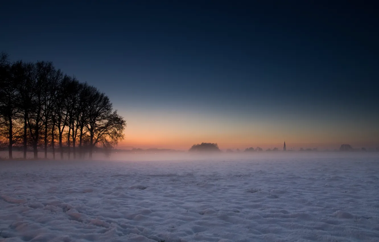 Photo wallpaper winter, snow, trees, landscapes, fog tree