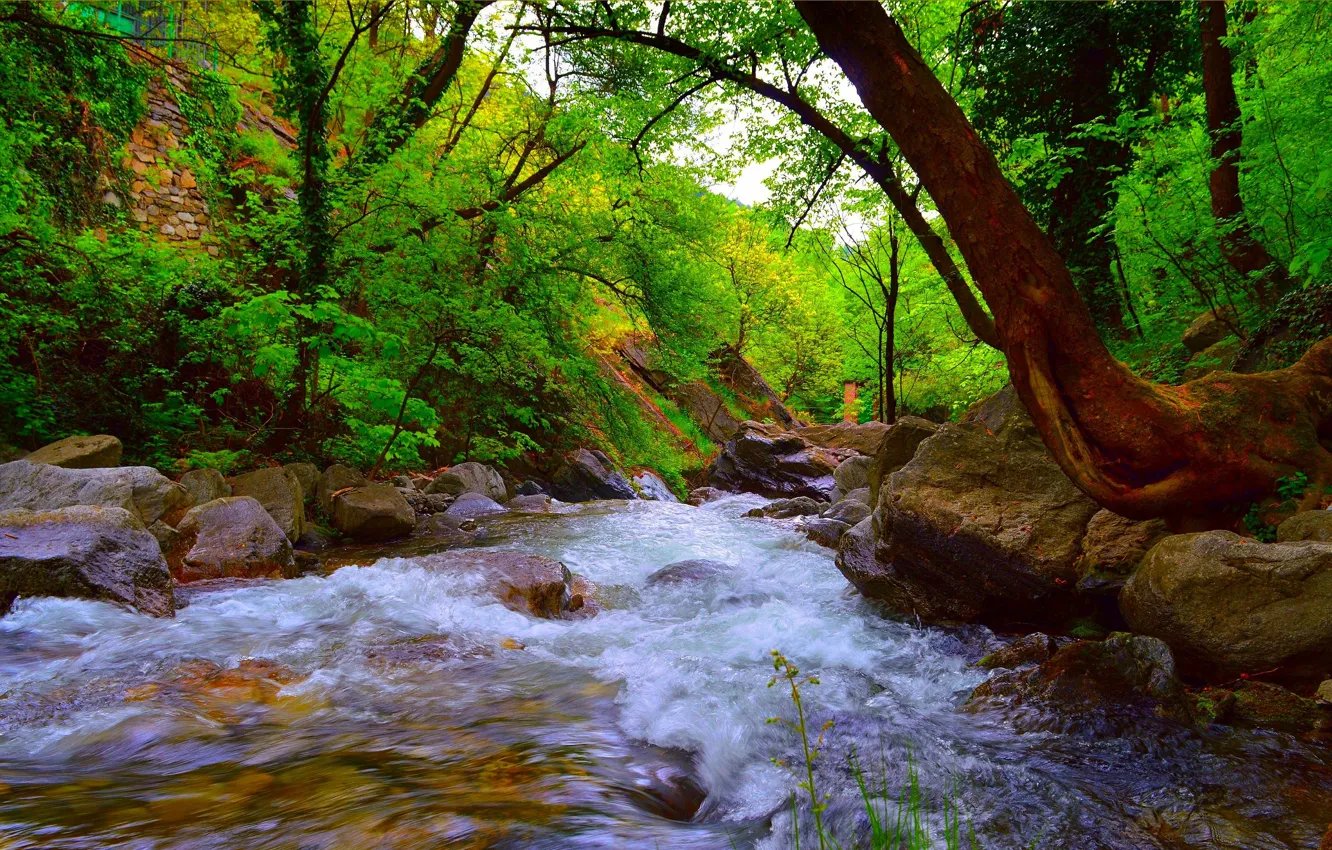 Photo wallpaper Nature, Spring, Forest, Stones, Nature, River, Spring, River