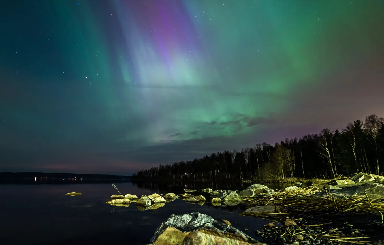 Photo wallpaper the sky, stars, trees, stones, Northern lights, Sweden
