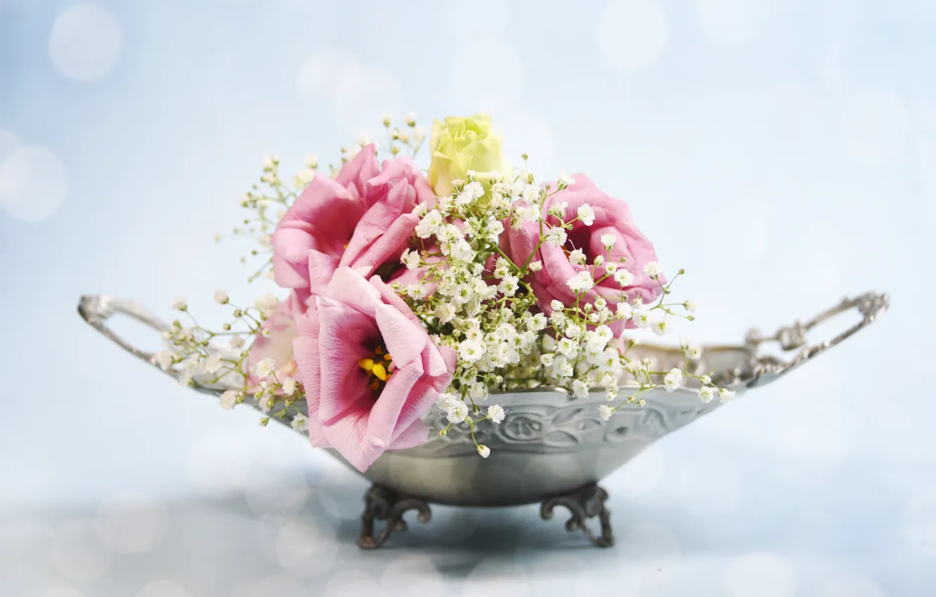 Photo wallpaper flowers, background, bowl