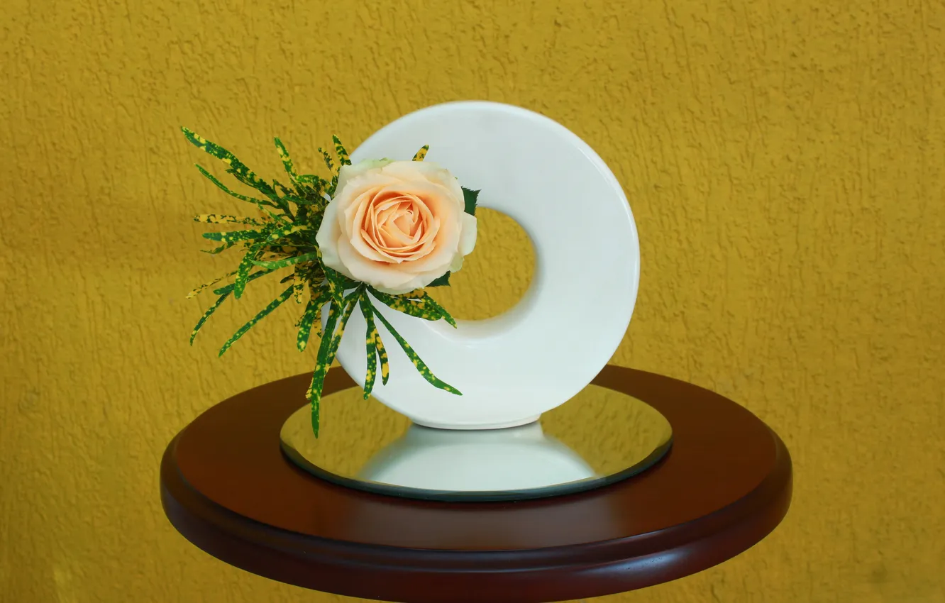Photo wallpaper rose, Bud, composition, ikebana