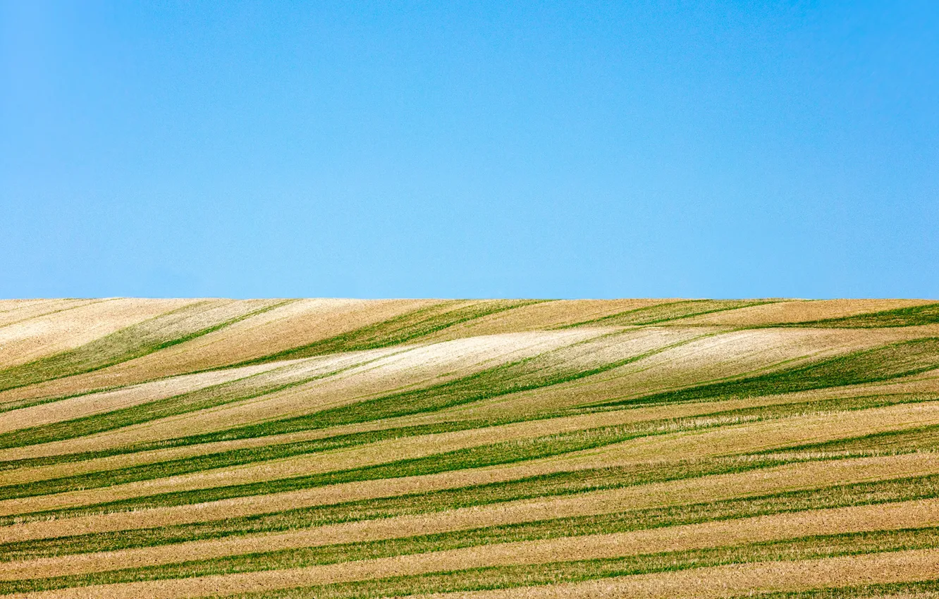 Photo wallpaper sky, lines, farmland
