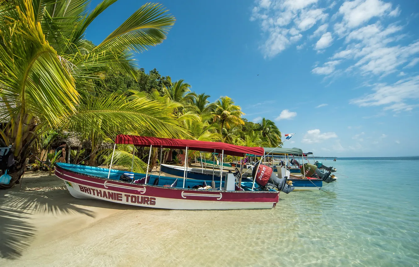 Photo wallpaper sand, sea, beach, the sky, the sun, clouds, tropics, palm trees
