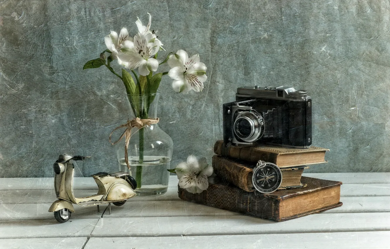 Photo wallpaper flowers, texture, camera, compass