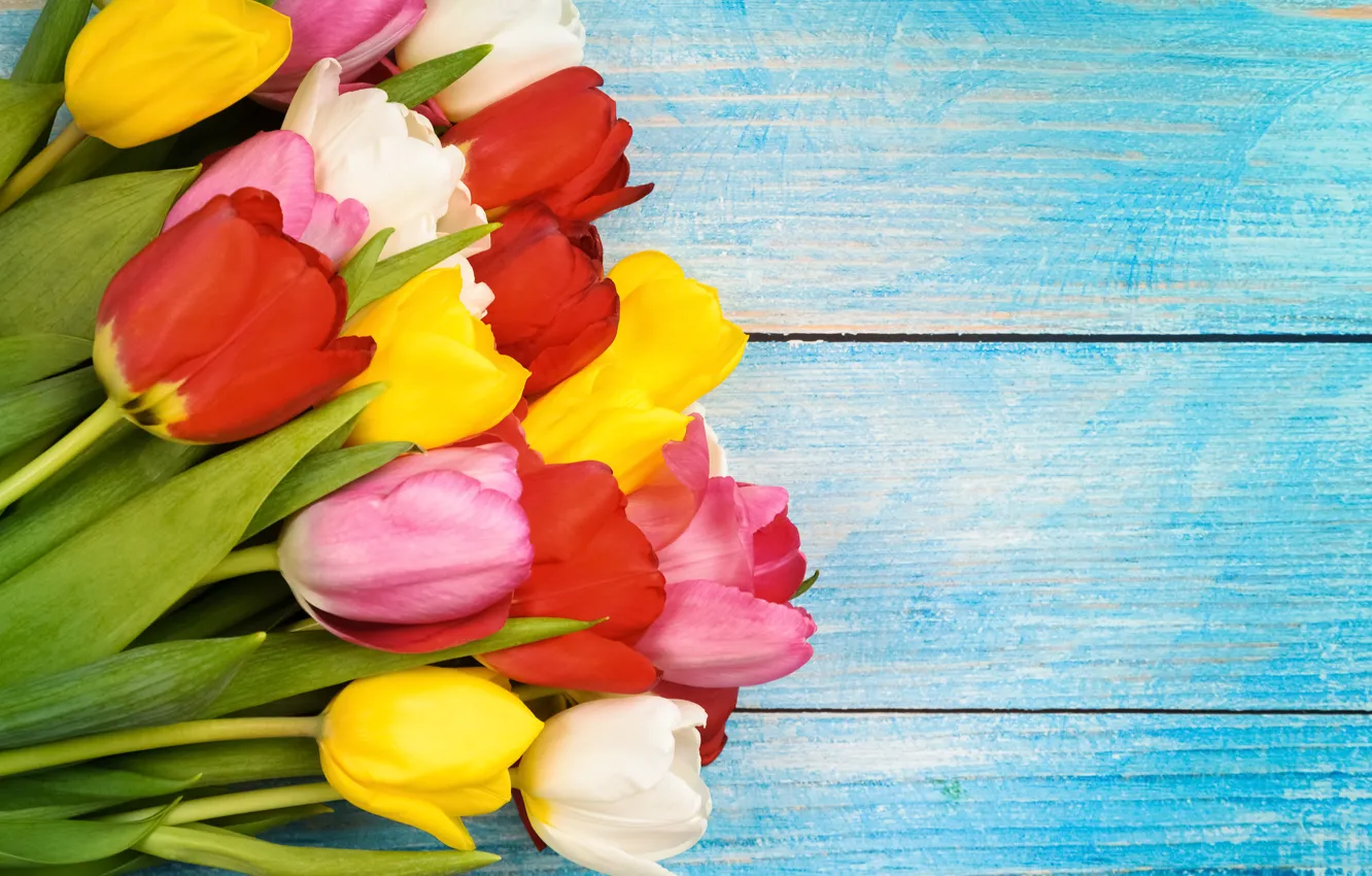 Photo wallpaper flowers, colorful, tulips, wood, flowers, tulips, spring