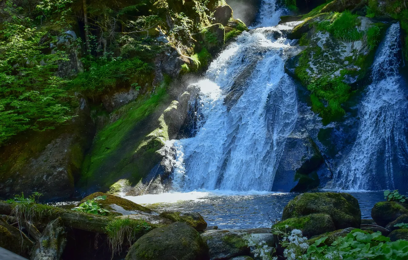 Photo wallpaper greens, light, stones, rocks, waterfall, moss, stream, power