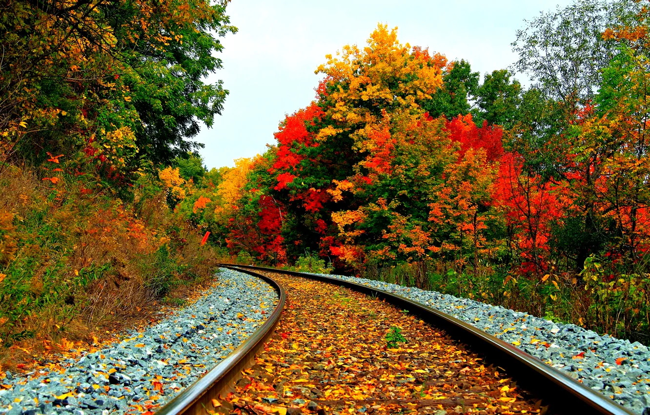 Photo wallpaper autumn, bright, rail