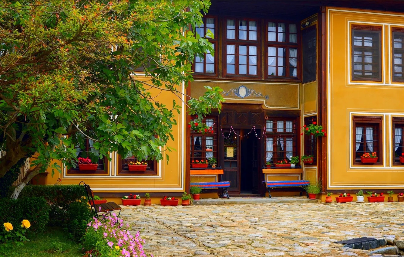 Photo wallpaper trees, flowers, Park, building, trees, park, flowers, building