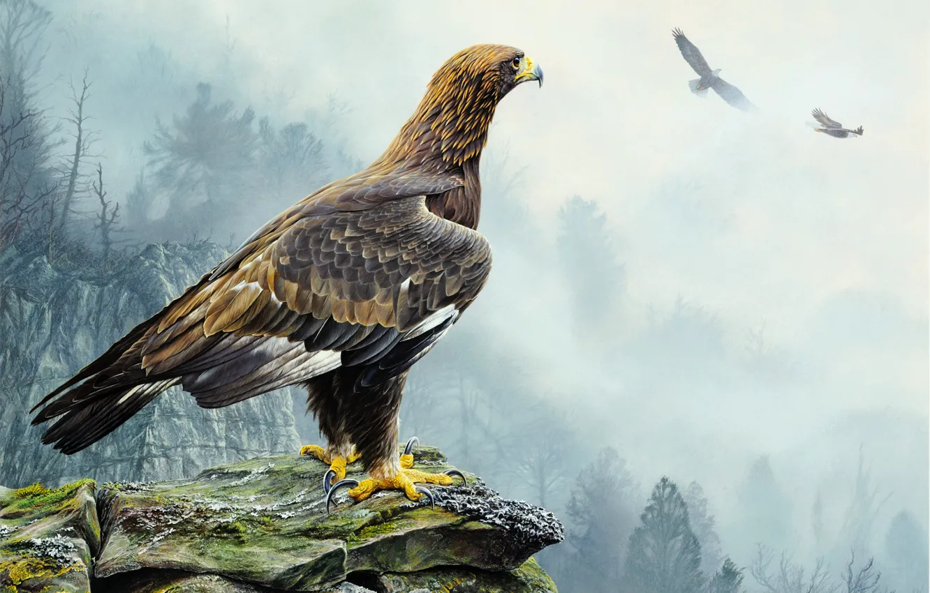 Photo wallpaper trees, flight, landscape, nature, fog, rocks, bird, eagle