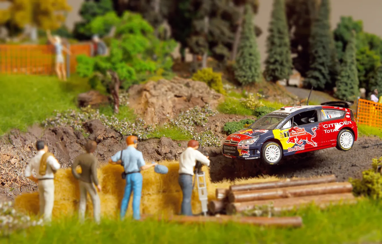 Photo wallpaper machine, sport, Citroen, layout, side view, Red Bull, WRC, Rally