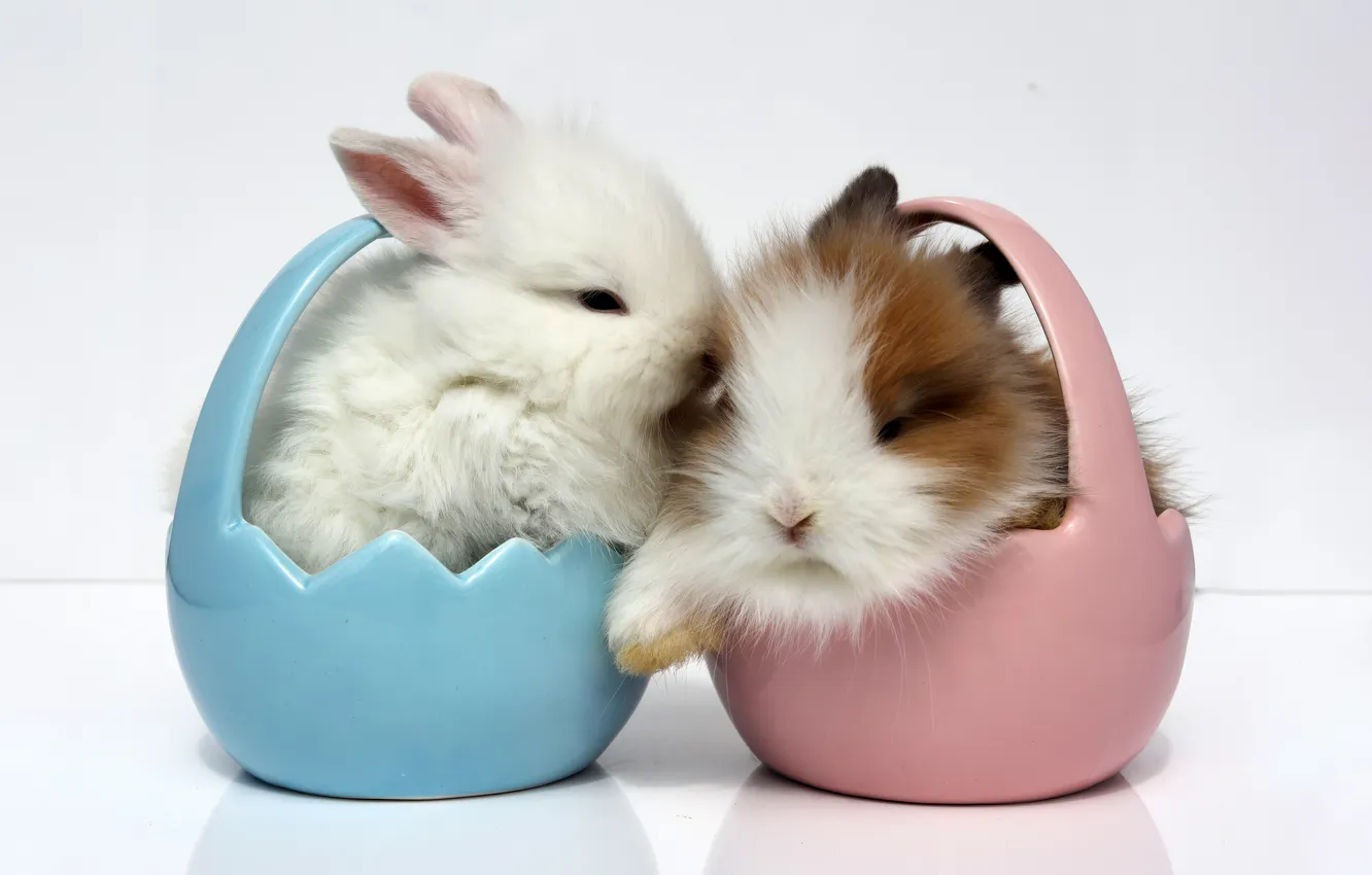 Photo wallpaper Fluffy, Easter background, Easter bunny