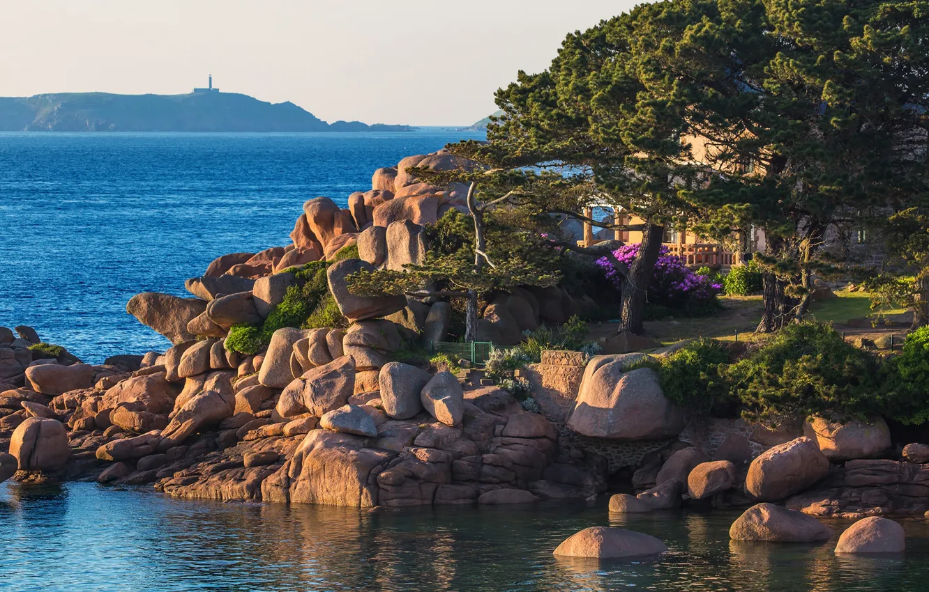 Photo wallpaper sea, the sky, the sun, trees, stones, coast, France, horizon