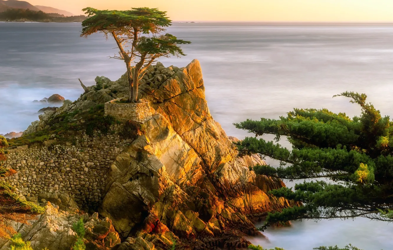Photo wallpaper trees, rocks, horizon
