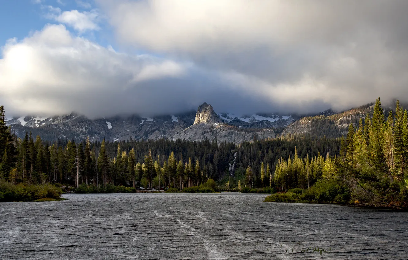 Photo wallpaper forest, the sky, clouds, light, snow, mountains, river, overcast