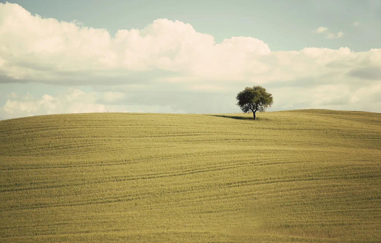 Photo wallpaper green, clouds, tree, countryside, farm, farmland, countryside scene