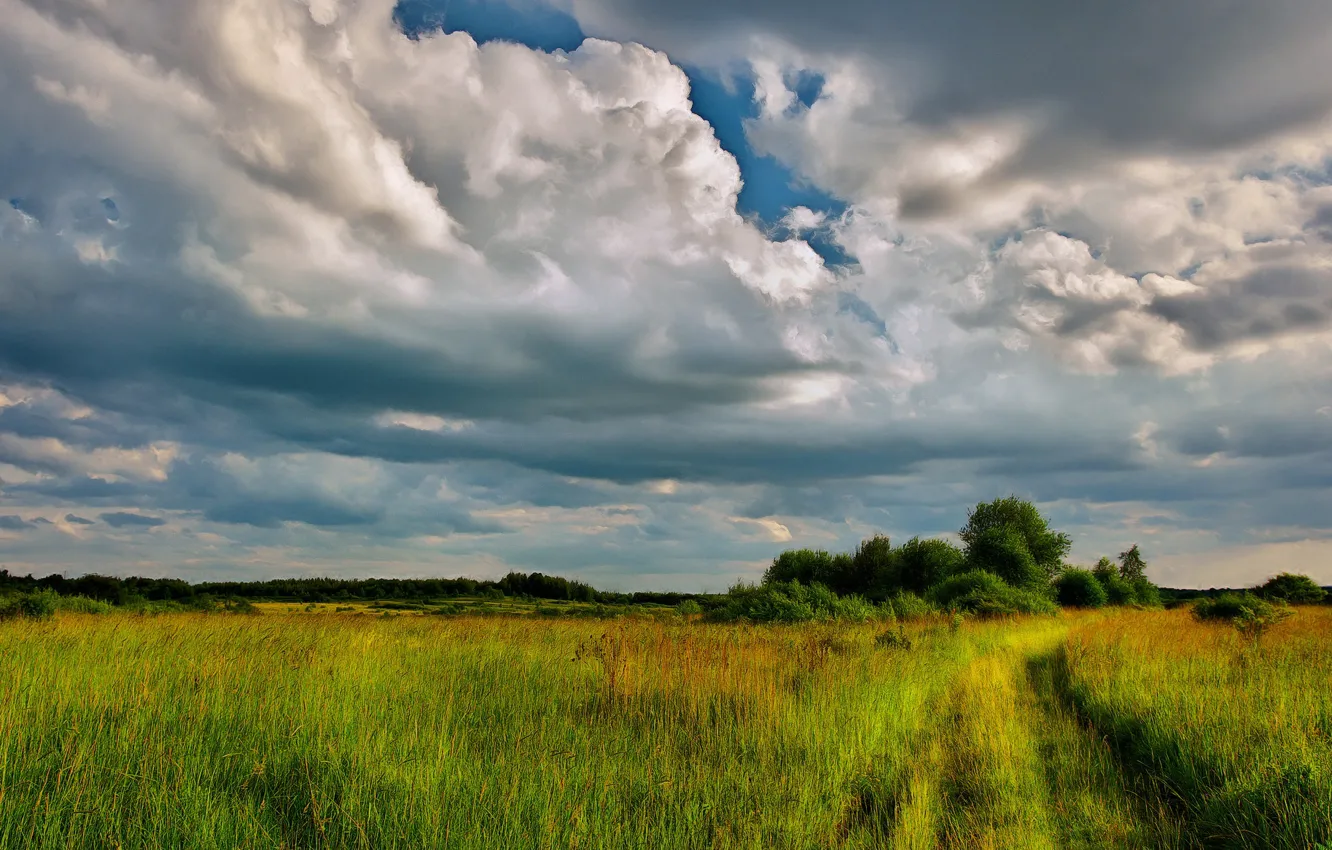 Photo wallpaper road, the sky, clouds, meadow
