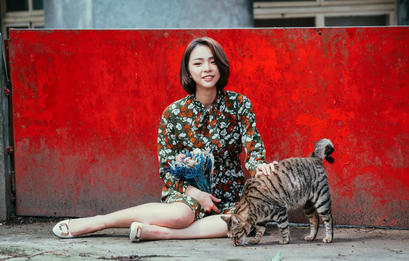 Photo wallpaper cat, summer, face, model, dress, sitting