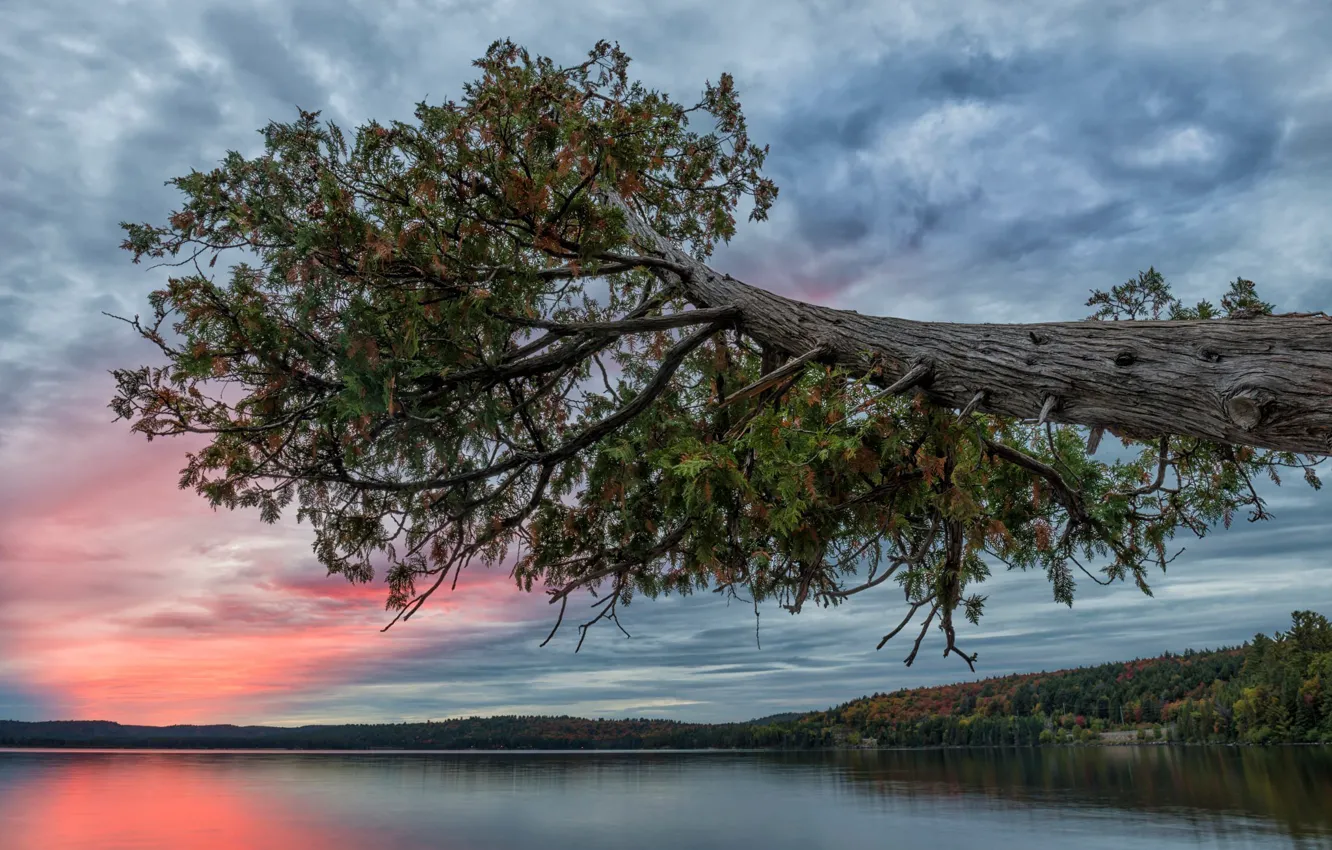 Photo wallpaper water, trees, landscape, sunset, nature, lake