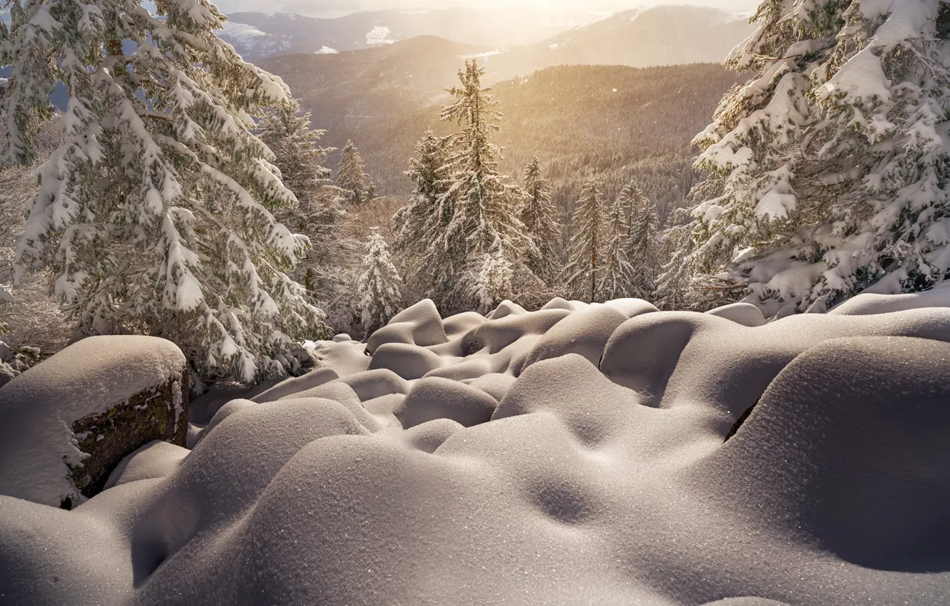 Photo wallpaper winter, snow, landscape, mountains, nature, fog, ate, the snow