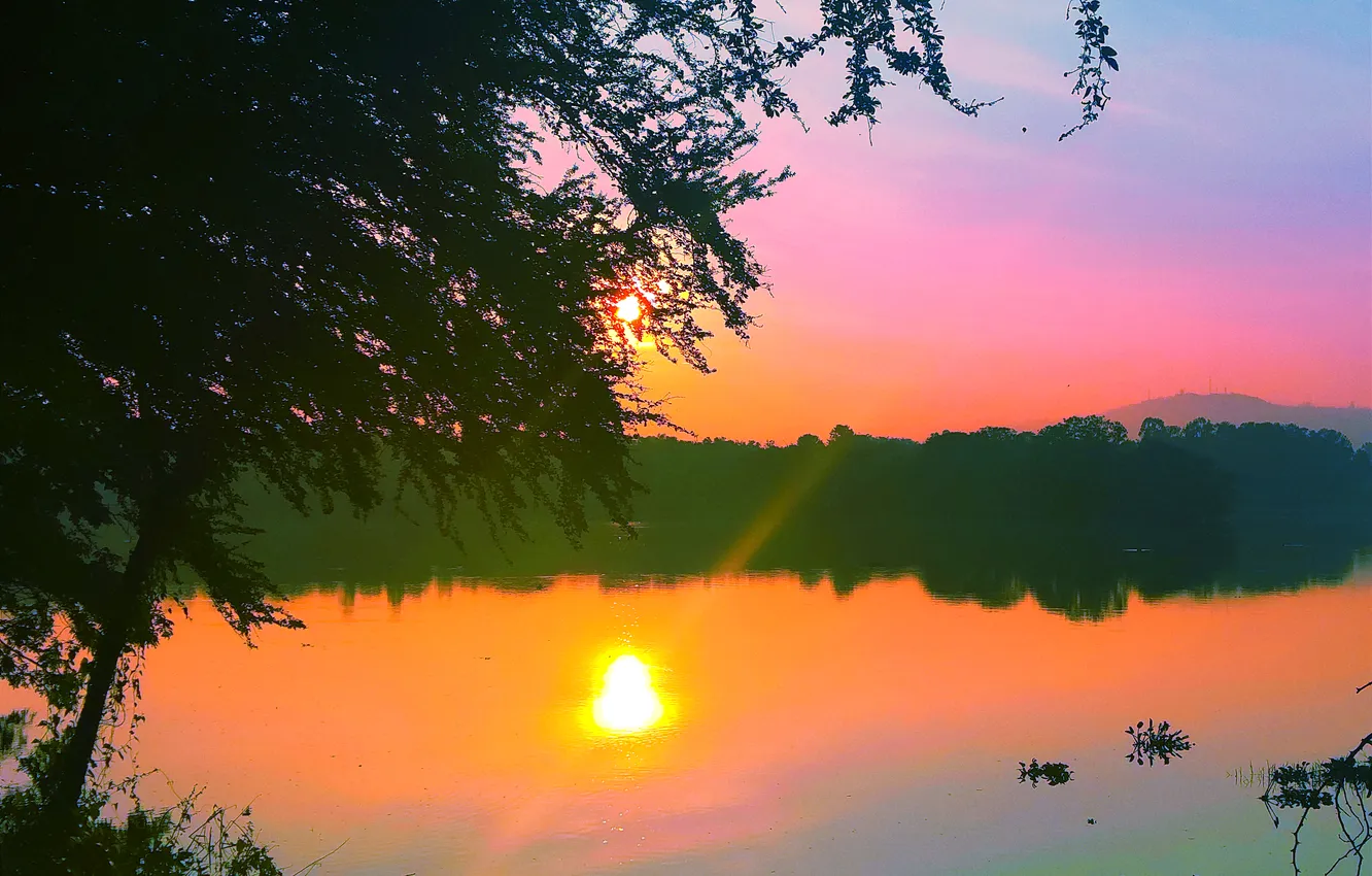 Photo wallpaper sky, trees, water, lake, morning, sunrise, dawn, plants