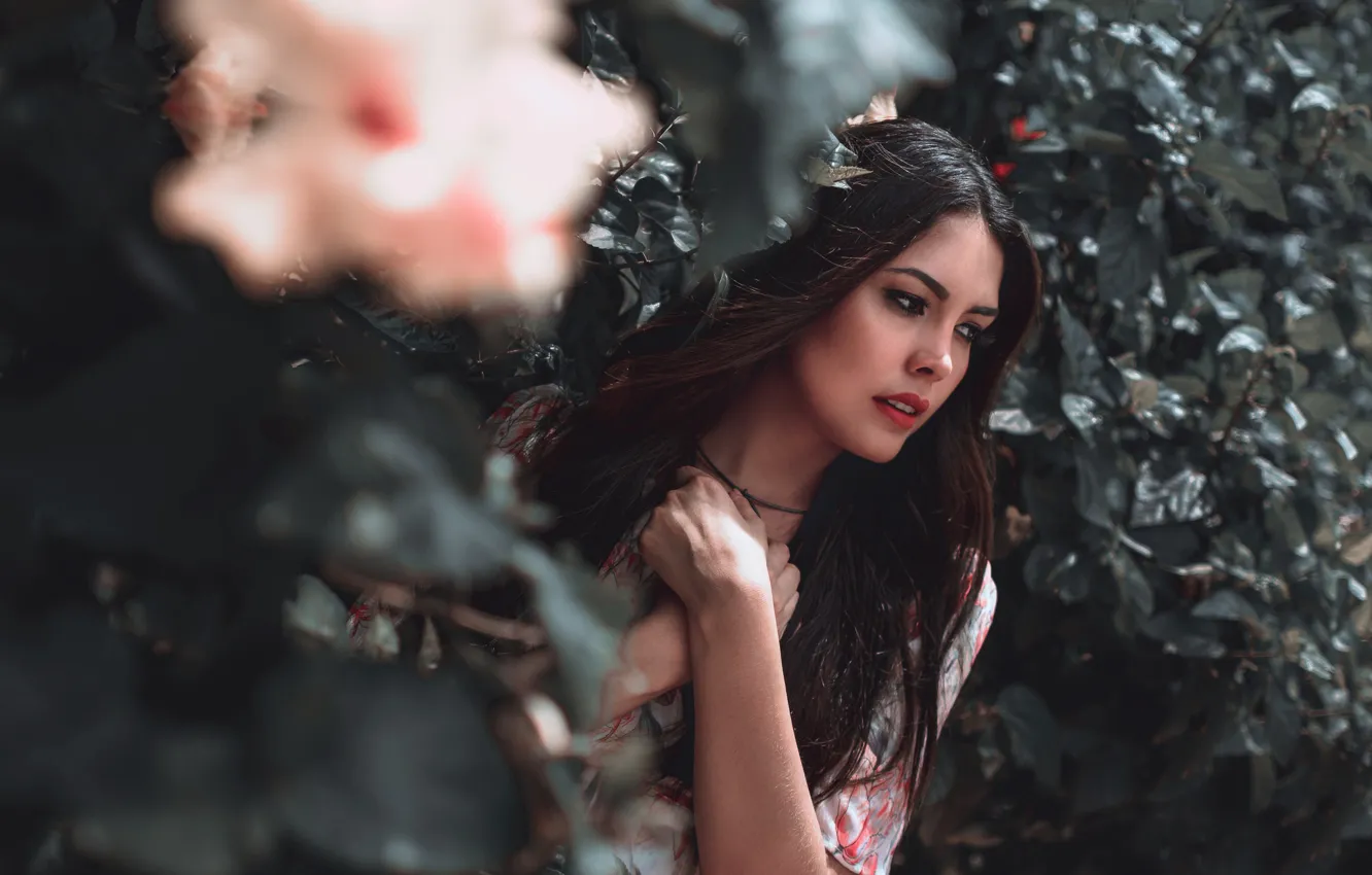 Photo wallpaper leaves, girl, hair, hands, Suanny Andrade