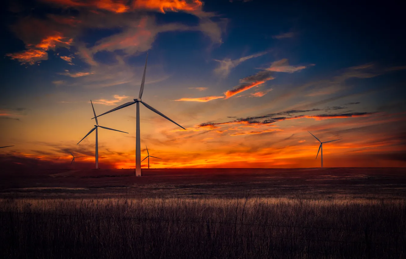 Photo wallpaper field, sunset, windmills