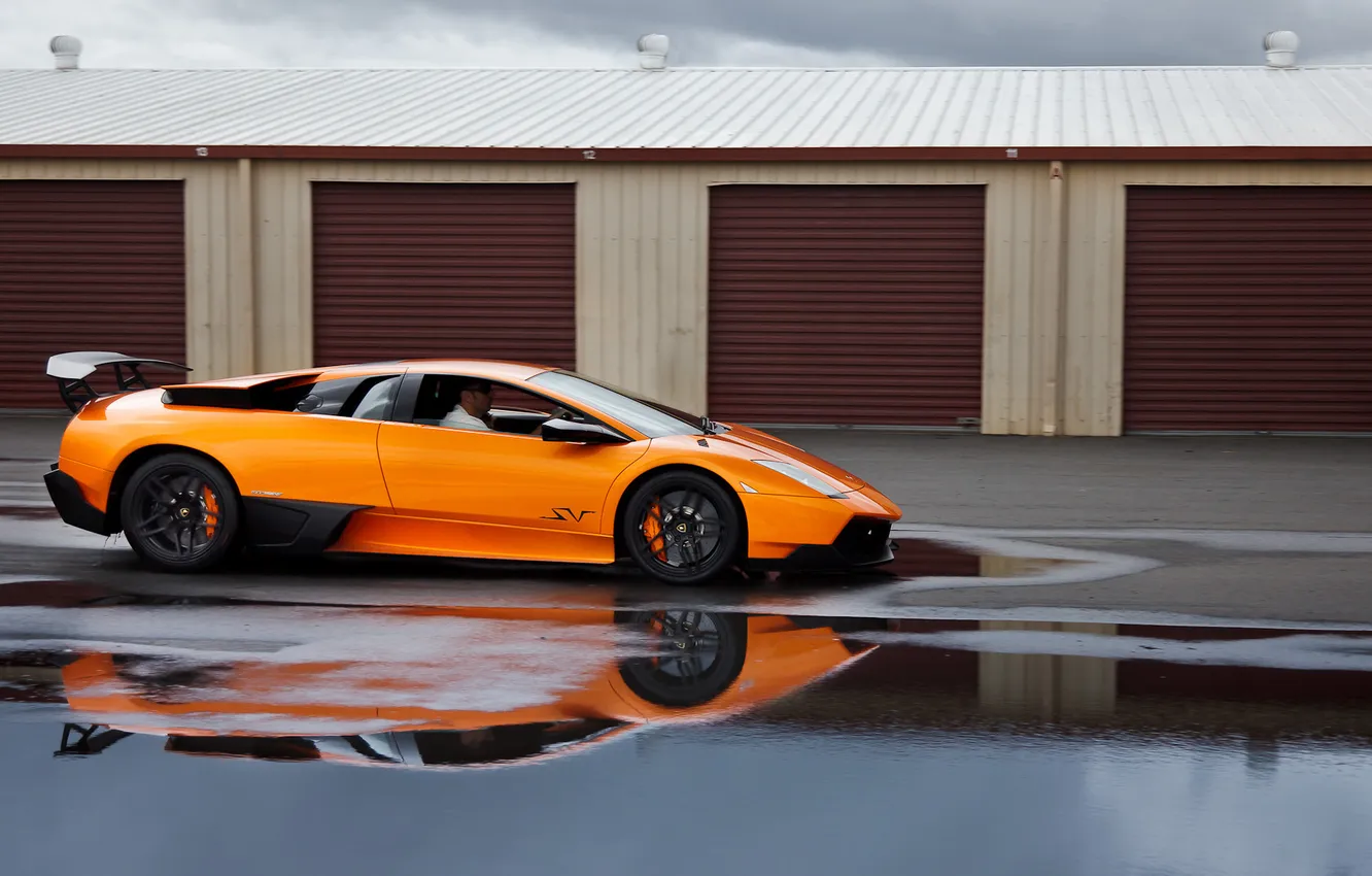 Photo wallpaper Lamborghini, murcielago, lp640
