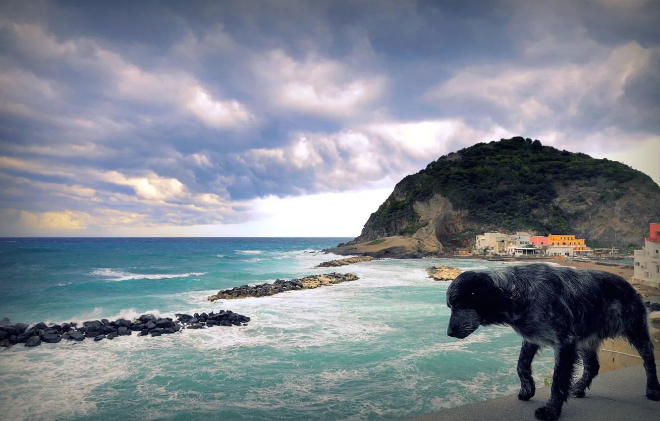 Photo wallpaper sea, the sky, mountains, the city, the ocean, rocks, the wind, Marina