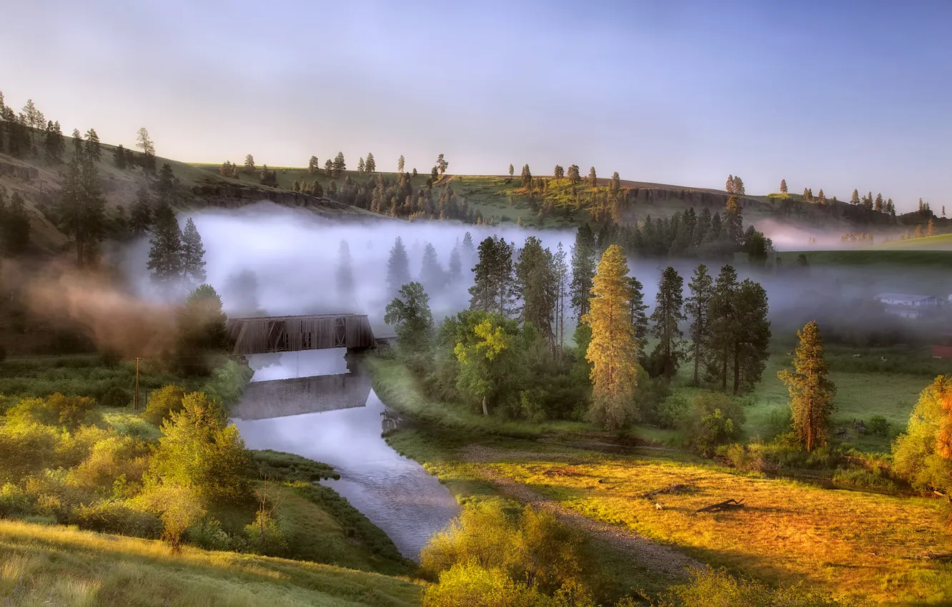 Photo wallpaper trees, bridge, fog, river, dawn, hills, morning, Washington