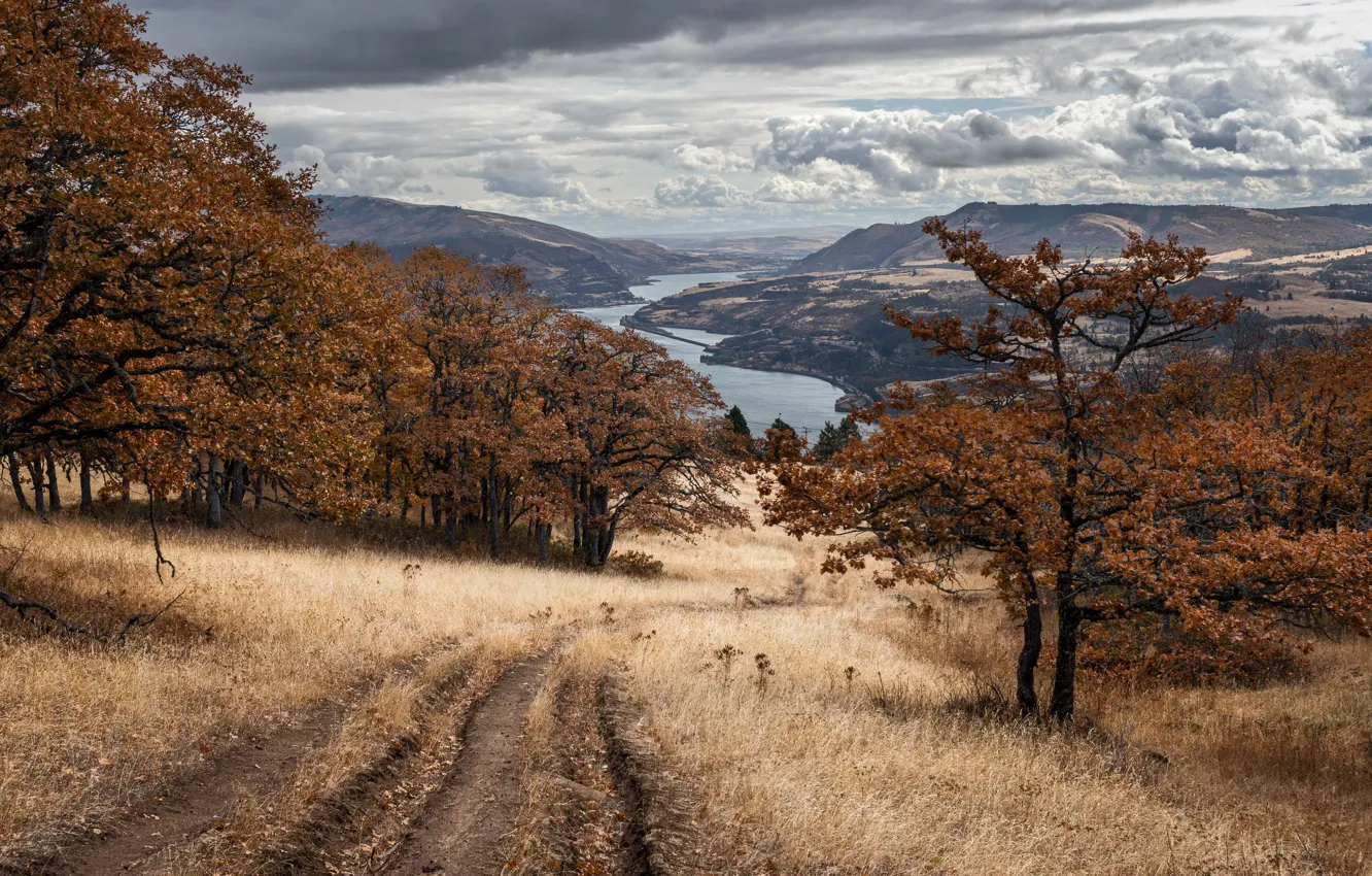 Photo wallpaper road, autumn, nature