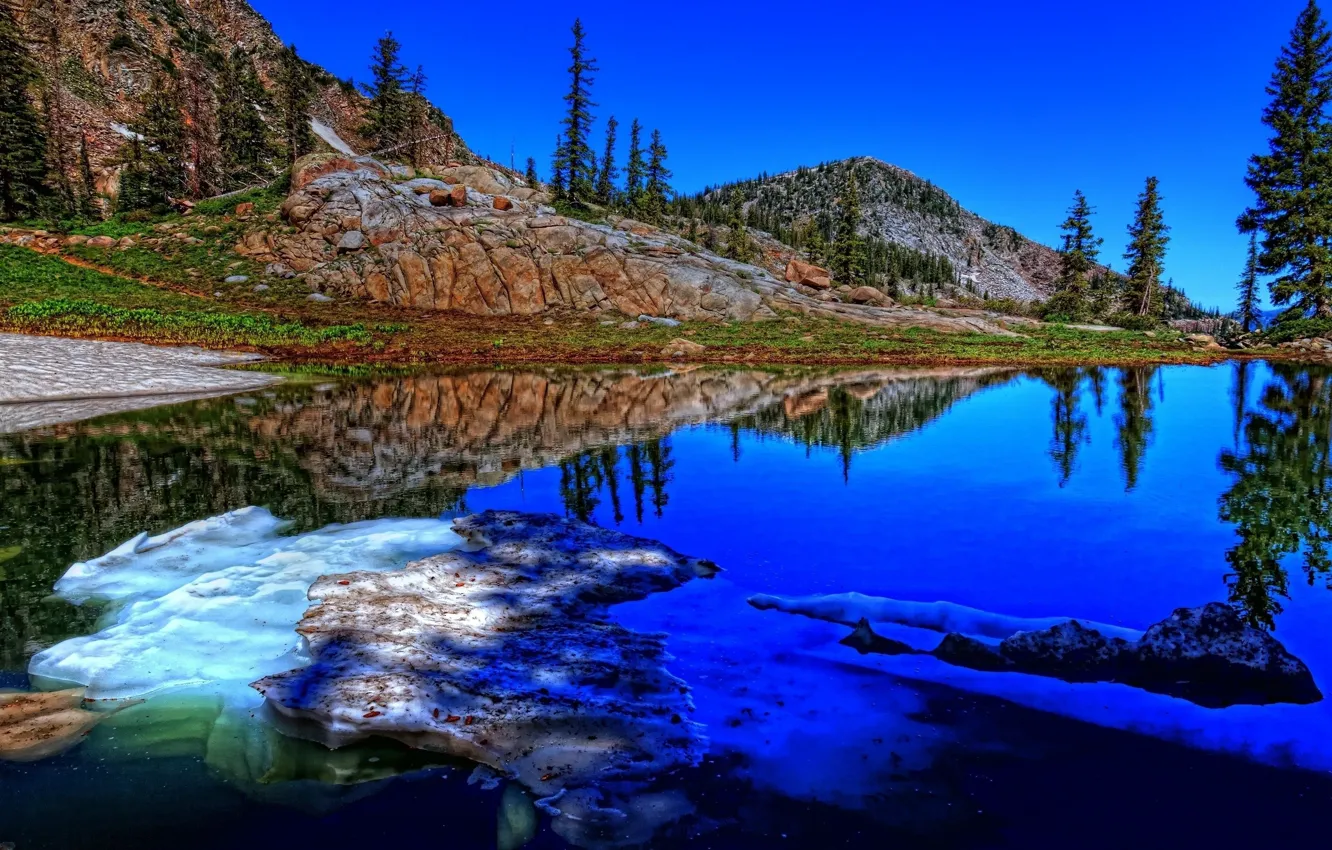 Photo wallpaper trees, lake, green grass, ice, ice, trees, lake, boulders